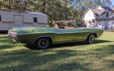 Dodge-Challenger-1971-Metallic-Green-Brown-34