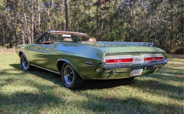 Dodge-Challenger-1971-Metallic-Green-Brown-36