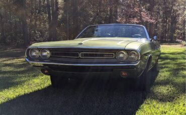Dodge-Challenger-1971-Metallic-Green-Brown-38