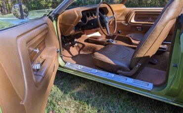 Dodge-Challenger-1971-Metallic-Green-Brown-39