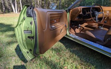 Dodge-Challenger-1971-Metallic-Green-Brown-40