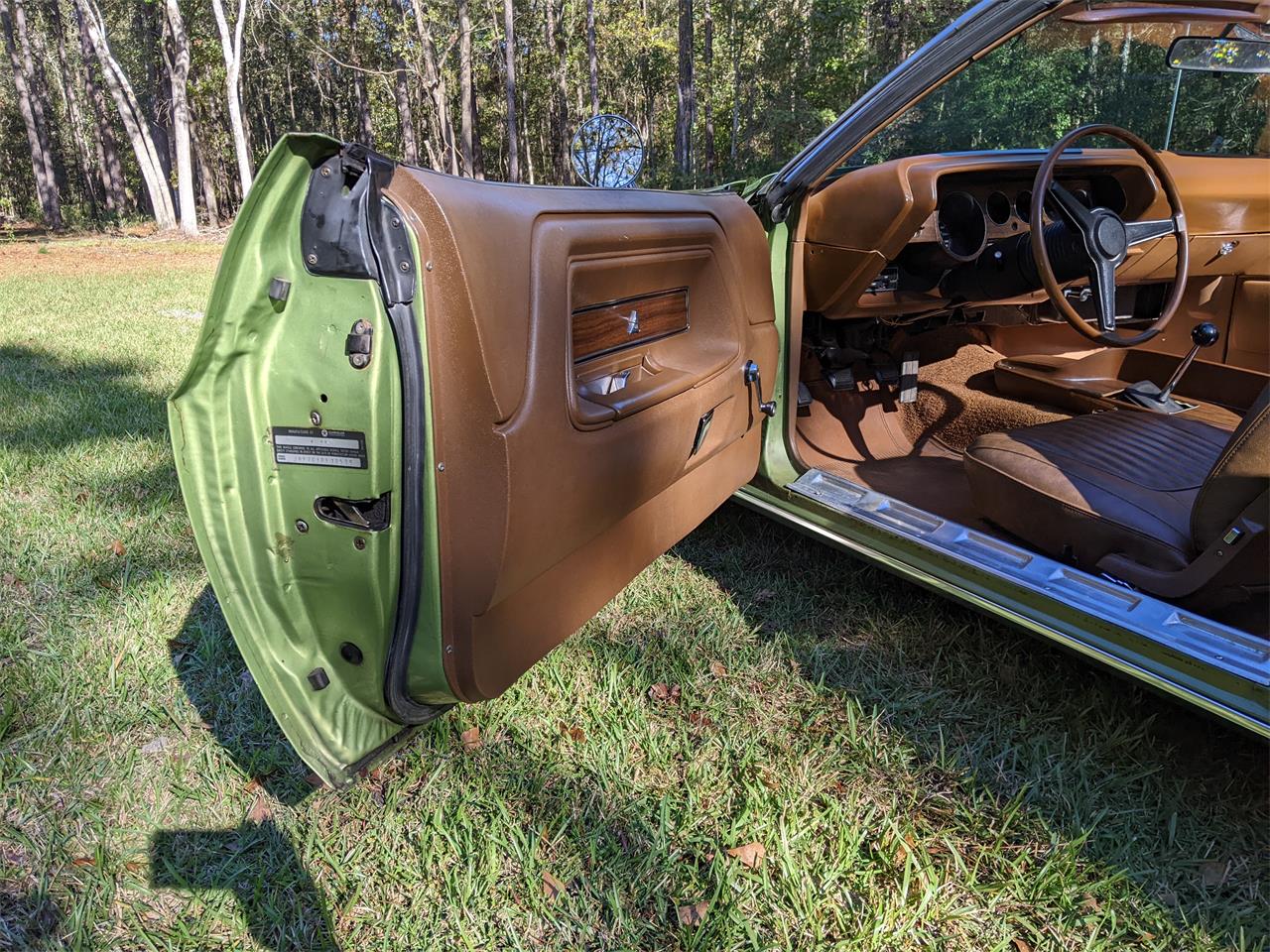 Dodge-Challenger-1971-Metallic-Green-Brown-40