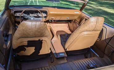 Dodge-Challenger-1971-Metallic-Green-Brown-41
