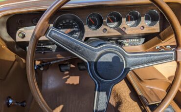 Dodge-Challenger-1971-Metallic-Green-Brown-43
