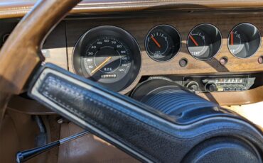 Dodge-Challenger-1971-Metallic-Green-Brown-44