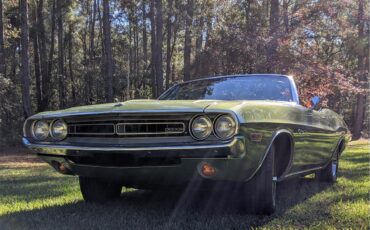 Dodge-Challenger-1971-Metallic-Green-Brown-5