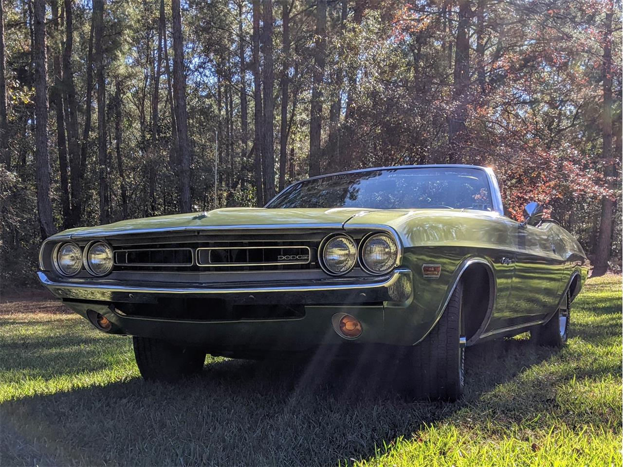Dodge-Challenger-1971-Metallic-Green-Brown-5