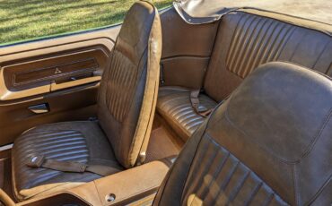 Dodge-Challenger-1971-Metallic-Green-Brown-50
