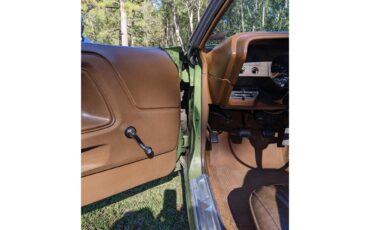 Dodge-Challenger-1971-Metallic-Green-Brown-54