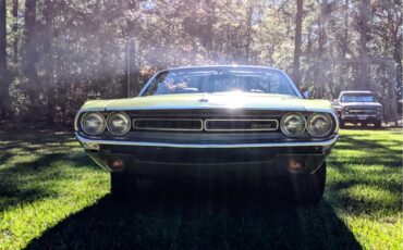 Dodge-Challenger-1971-Metallic-Green-Brown-6