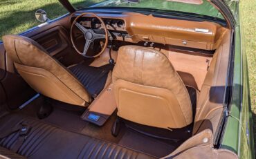 Dodge-Challenger-1971-Metallic-Green-Brown-60