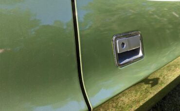 Dodge-Challenger-1971-Metallic-Green-Brown-63
