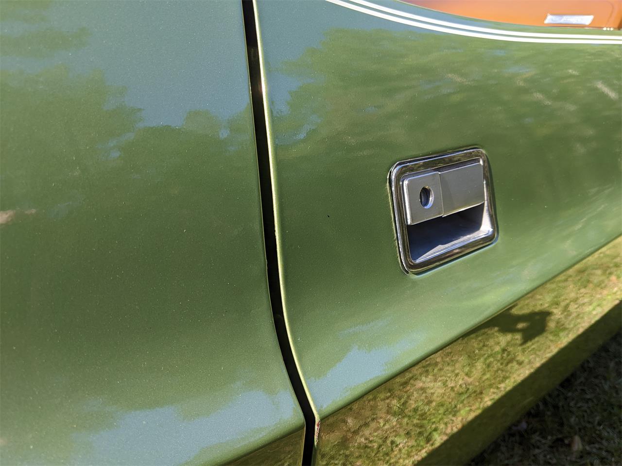Dodge-Challenger-1971-Metallic-Green-Brown-63
