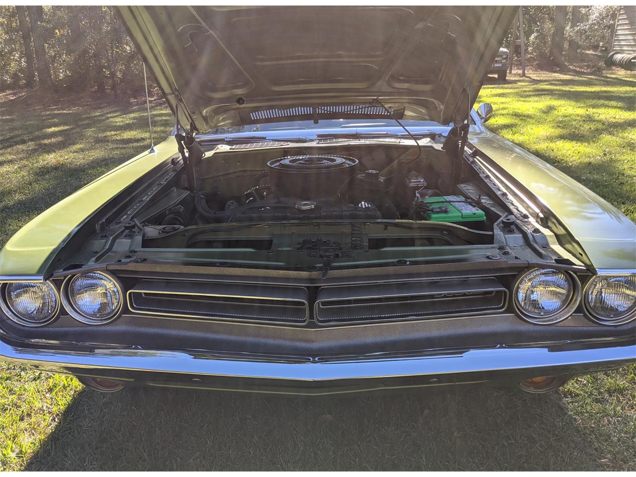 Dodge-Challenger-1971-Metallic-Green-Brown-64