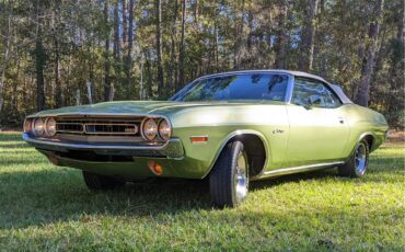 Dodge-Challenger-1971-Metallic-Green-Brown-89