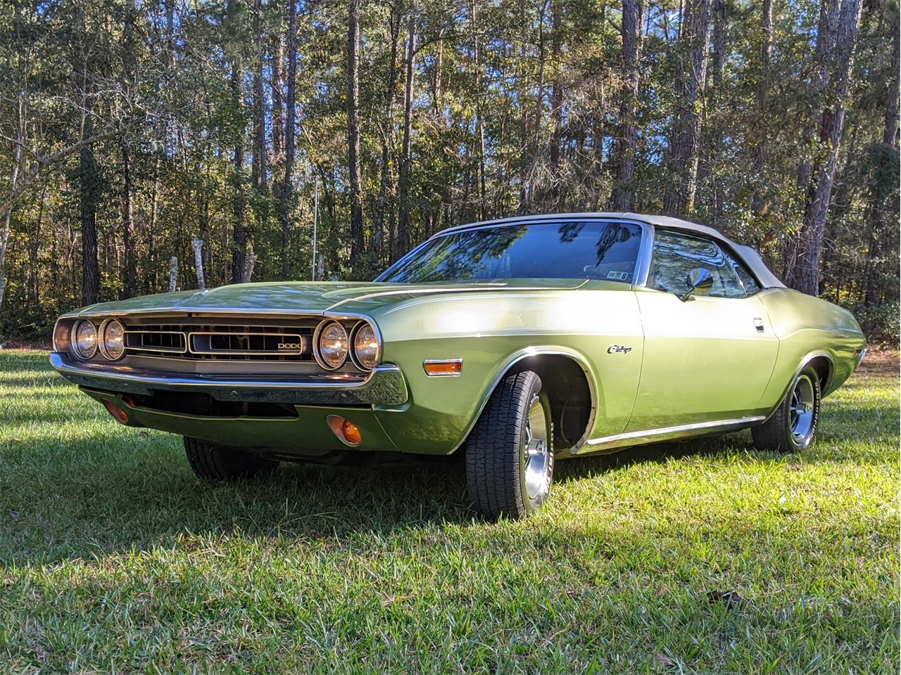 Dodge-Challenger-1971-Metallic-Green-Brown-89