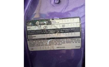 Dodge-Challenger-1973-Plum-Crazy-Black-12