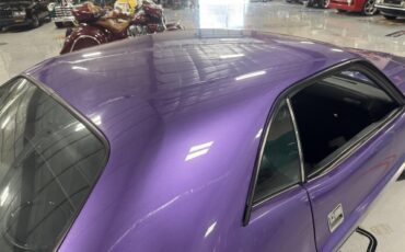 Dodge-Challenger-1973-Plum-Crazy-Black-27