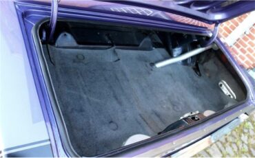 Dodge-Challenger-rt-1970-Crazy-Plum-Black-27