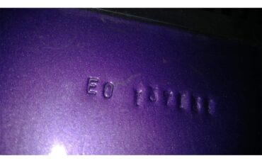 Dodge-Challenger-rt-1970-Plum-Crazy-Purple-Black-12