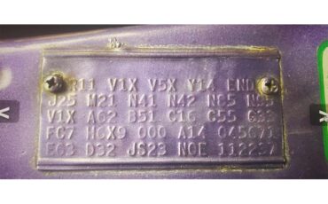 Dodge-Challenger-rt-1970-Plum-Crazy-Purple-Black-2