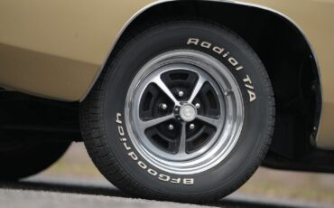 Dodge-Charger-1968-Other-19