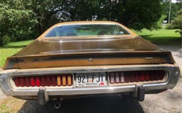 Dodge-Charger-1973-Bronze-Tan-16