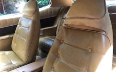 Dodge-Charger-1973-Bronze-Tan-18