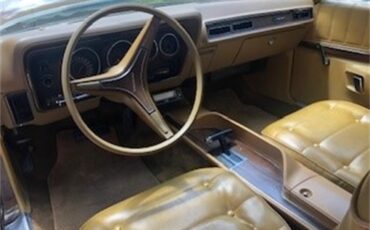 Dodge-Charger-1973-Bronze-Tan-19