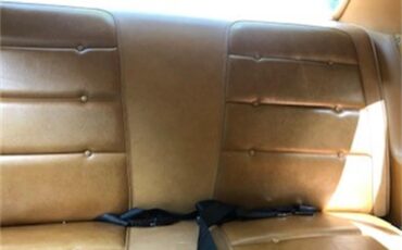Dodge-Charger-1973-Bronze-Tan-2