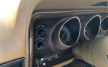 Dodge-Charger-1973-Bronze-Tan-23