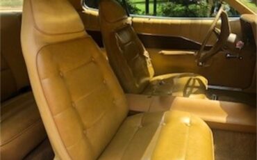 Dodge-Charger-1973-Bronze-Tan-26