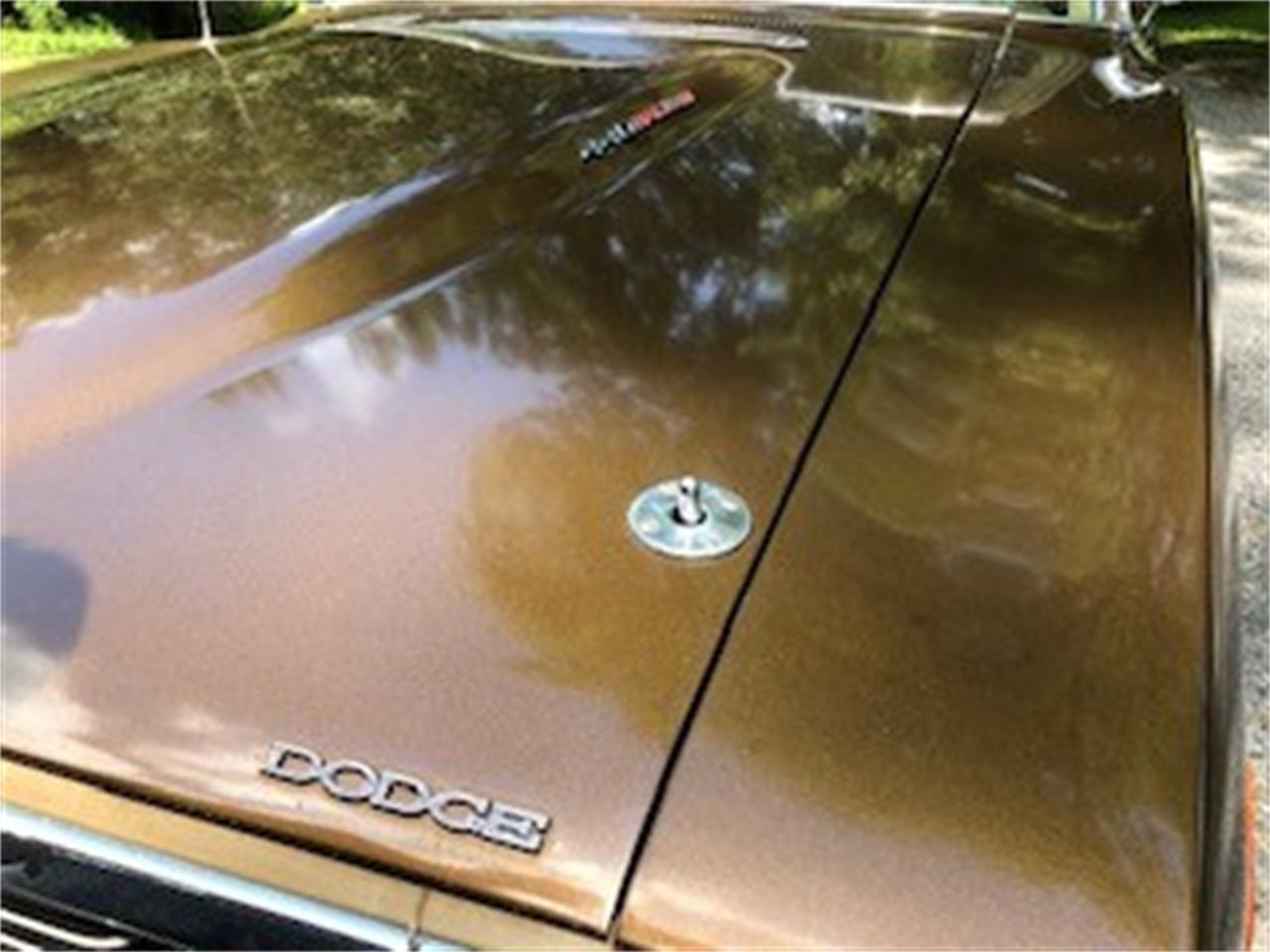 Dodge-Charger-1973-Bronze-Tan-3