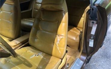 Dodge-Charger-1973-Bronze-Tan-31