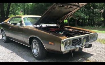 Dodge-Charger-1973-Bronze-Tan