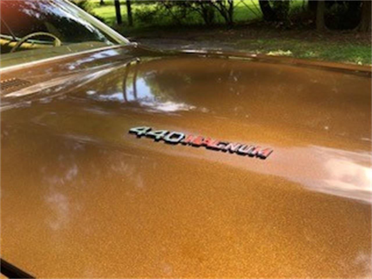 Dodge-Charger-1973-Bronze-Tan-43