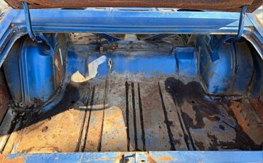 Dodge-Charger-rt-1971-blue-15