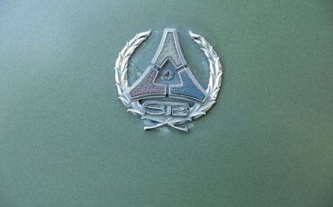 Dodge-Charger-se-1971-green-13