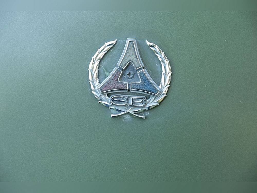 Dodge-Charger-se-1971-green-13