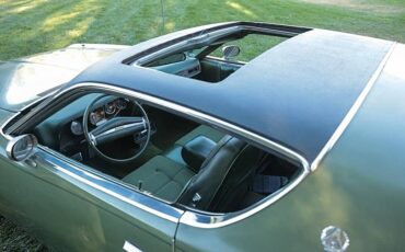 Dodge-Charger-se-1971-green-14