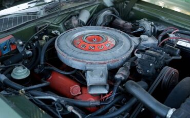 Dodge-Charger-se-1971-green-6