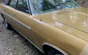 Dodge-Coronet-1972-brown-4