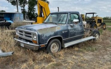 Dodge-D-series-1988-blue