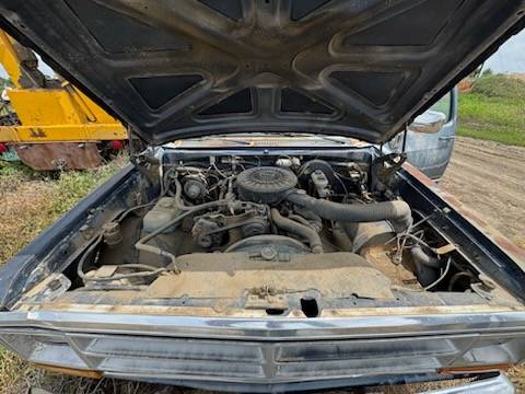 Dodge-D-series-1988-blue-5