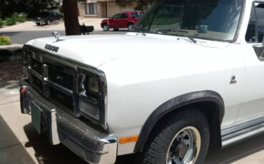 Dodge-D-series-d250-diesel-1990-white-1