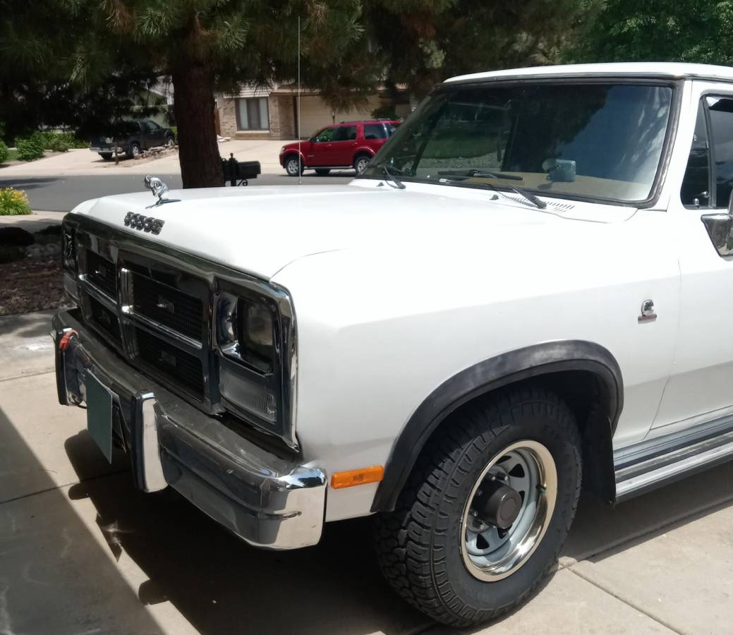 Dodge-D-series-d250-diesel-1990-white-1