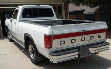 Dodge-D-series-d250-diesel-1990-white-2