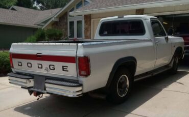 Dodge-D-series-d250-diesel-1990-white-3