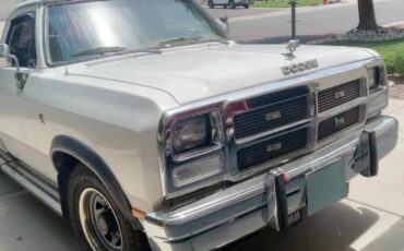 Dodge-D-series-d250-diesel-1990-white