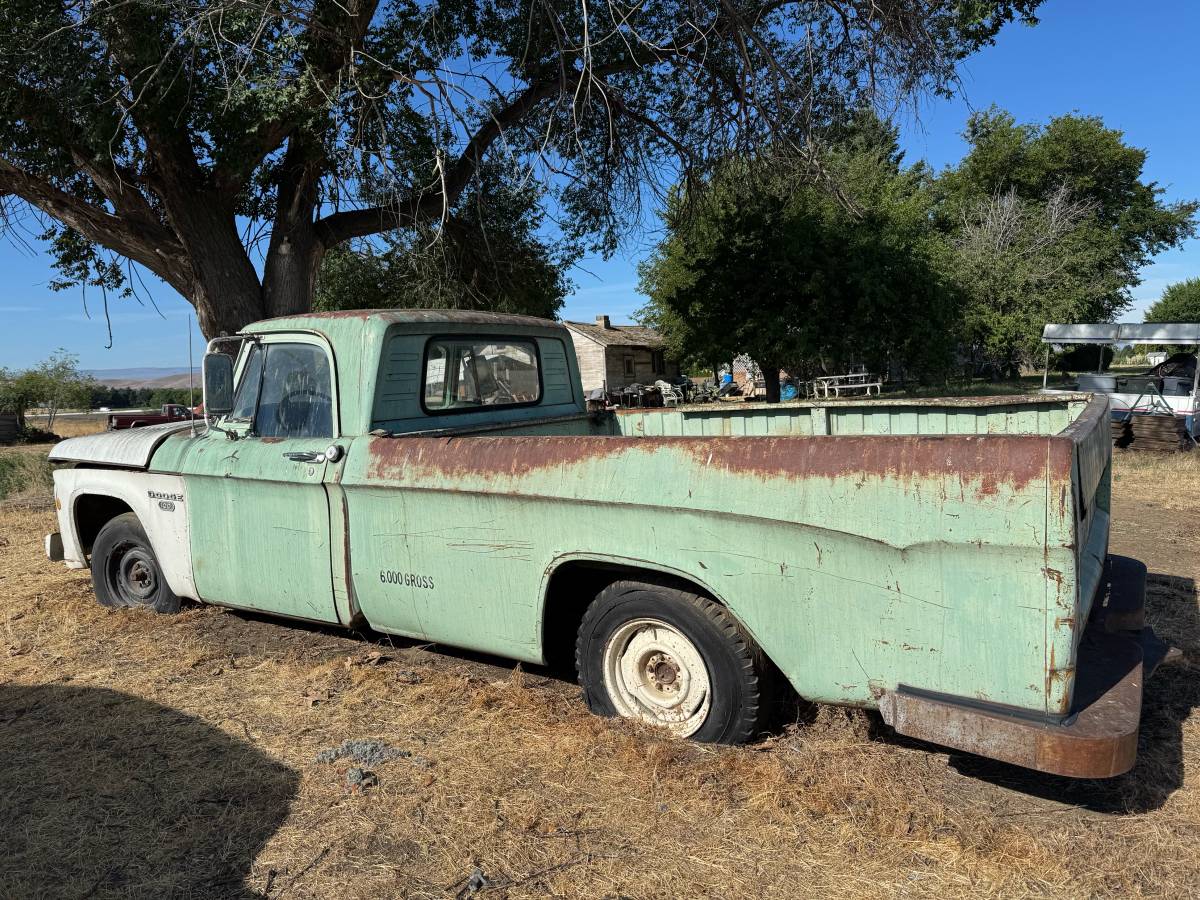 Dodge-D100-1966-blue-1